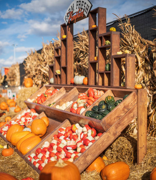 Different kinds of Pumpkins and Gourds in a Market stall stock photo