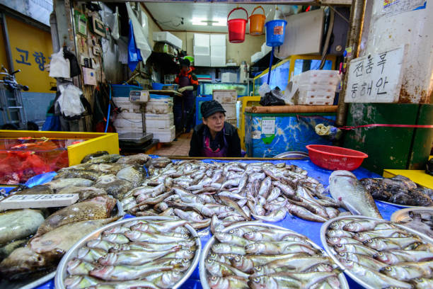Central Sokcho market. The woman sells raw fish. stock photo