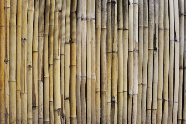 istock close up of bamboo texture 1434301149