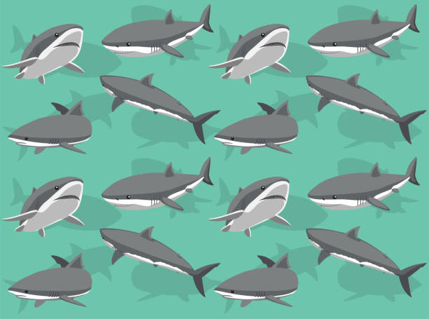 istock Great White Shark Poses Cartoon Character Seamless Wallpaper Background 1434304050
