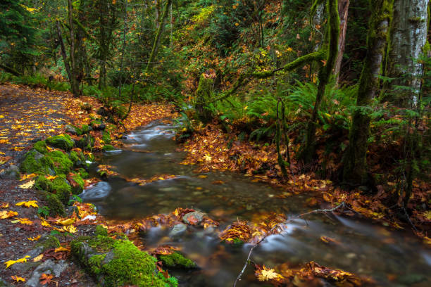 istock Autumn Colors Along The Riverside 1434305792