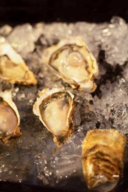 istock Fresh opened oyster offered as top view on crushed ice 1434308663