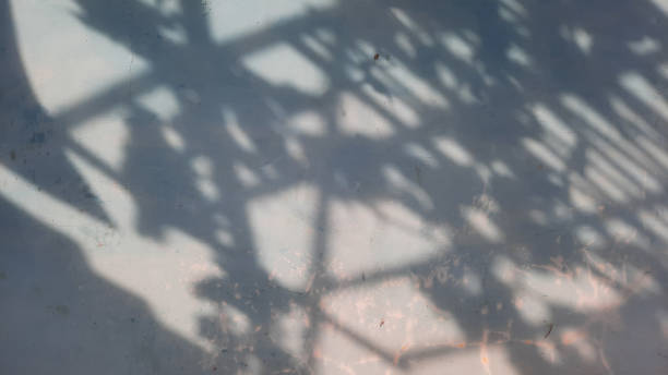 istock Background overlay with leaf shadow ornaments on a blue wall 1434322658