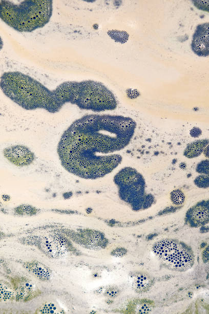 istock Vertical image of the polluted seawater 1434324878