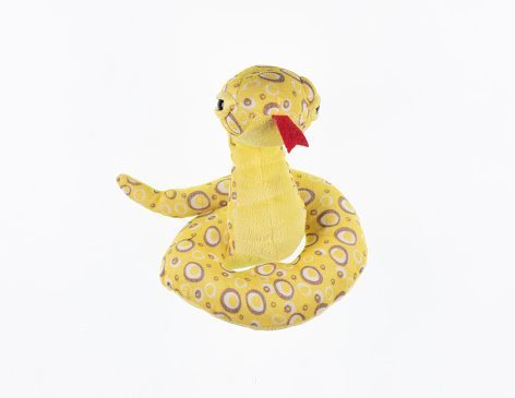 toy plush snake isolated on white background