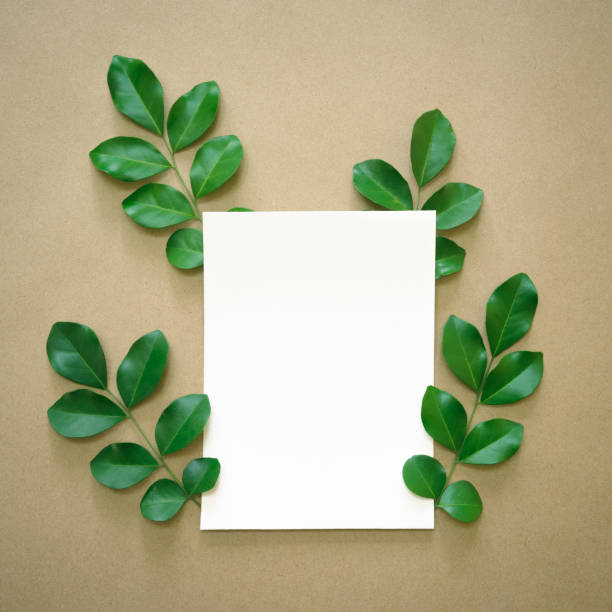 istock white flat paper rectangle shape at center and fresh green leaves foliage isolated with empty space on beige background.ecology concept , invitation greeting card romantic wedding minimal design. 1434326361
