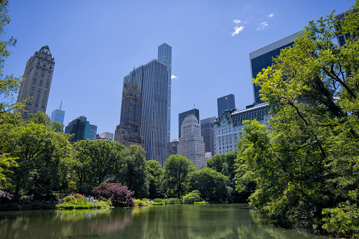 Central Park and Midtown Manhattan from Gapstow Bridge