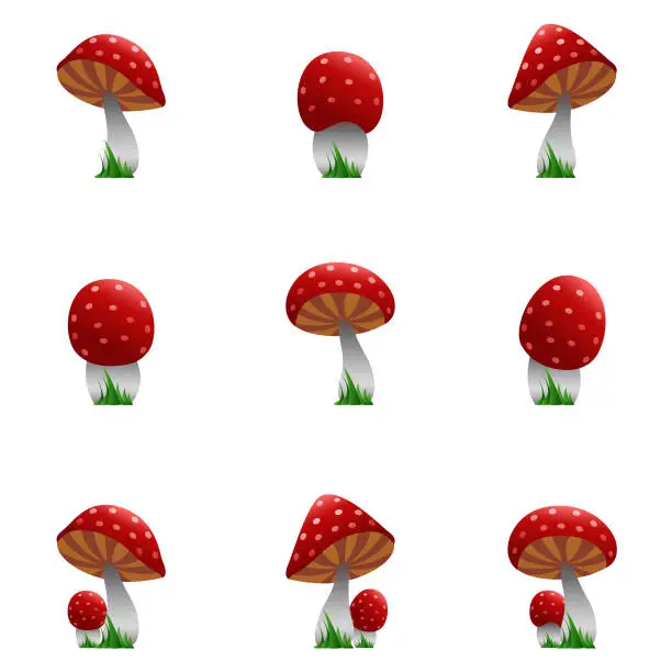 Vector illustration of Mushroom vector set