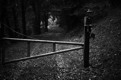 gate in a road in the woods