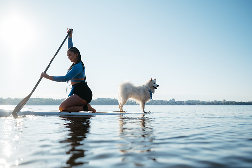 Woman Paddleboarding on City Lake at Early Morning with Her Dog Japanese Spitz Sitting on the Sup Board
