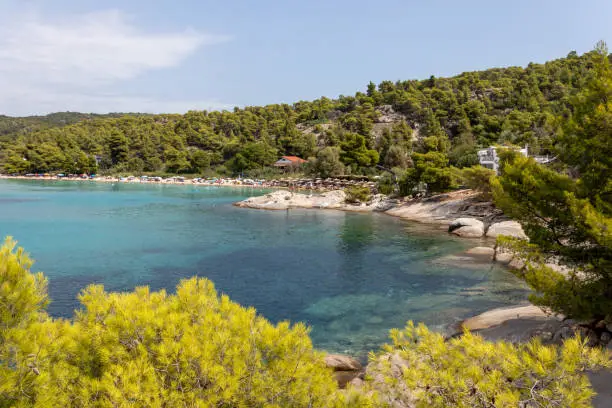 Photo of Kalogria Beach in Sithonia, Halkidiki with turquoise shining sea during summer time in Greece.