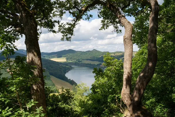 Panoramic view from the forest towards Lake Diemel, Sauerland, Germany