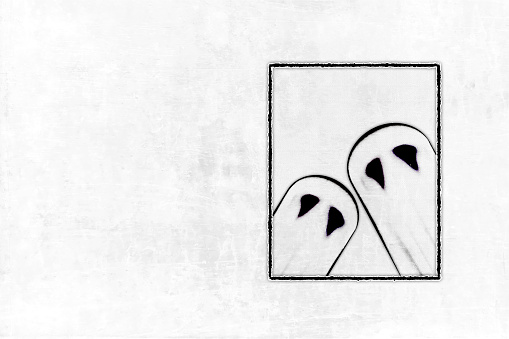 Black and white Halloween backgrounds with two horrifying ghost outlines and staring deadly eyes, and blank or no expressions. Apt for use as spooky backdrops, wallpapers, posters, banners, cards design and templates. There is deliberate copy space at the left and no text.