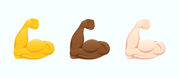 illustrazioni stock, clip art, cartoni animati e icone di tendenza di icone bicipiti flessi. forti mani muscolari di varie tonalità della pelle gesto emoji illustrazione vettoriale. - human muscle human arm muscular build body building