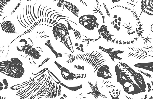 Isolated black stencil imprints skeletons of prehistoric animals, insects and plants on white background. Seamless pattern realistic hand drawn art. Vector illustration.