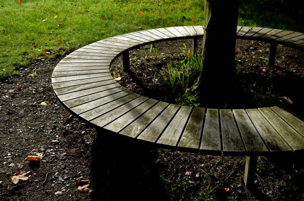 istock bench sitting round with wood paneling gray metal plate three seats around a tree around a gravel threshing path in the park lawn 1434339950