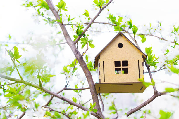 casa de juguete en un árbol floreciente a principios de primavera - birdhouse house bird house rental fotografías e imágenes de stock