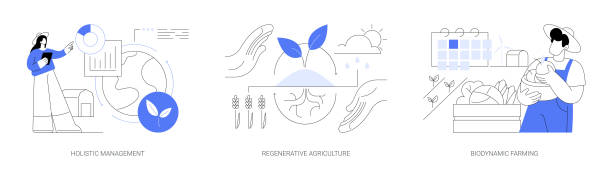 illustrazioni stock, clip art, cartoni animati e icone di tendenza di sistema agricolo di conservazione e riabilitazione illustrazioni vettoriali concettuali astratte. - biodynamic