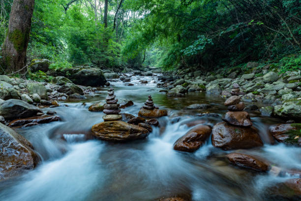istock Stream in the forest, Jing'an, China 1434342128