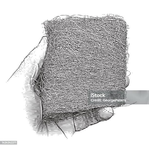 Wire Wool Icon Hand Holding Wire Wool Stock Illustration - Download Image Now - Wire ...