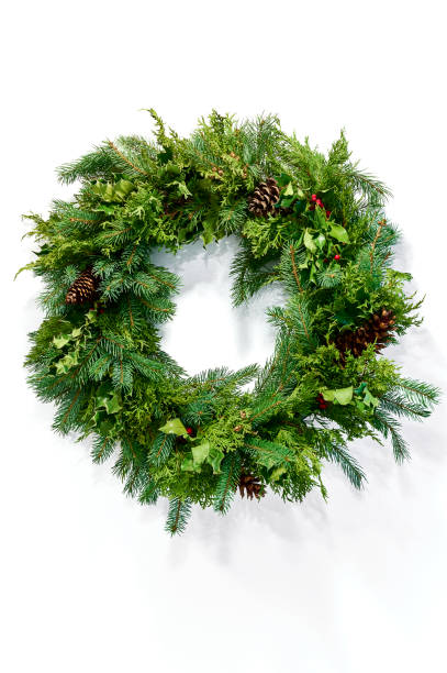 Christmas coniferous wreath on a white background. Coniferous branches and red berries of Holly three evergreen plant stock pictures, royalty-free photos & images