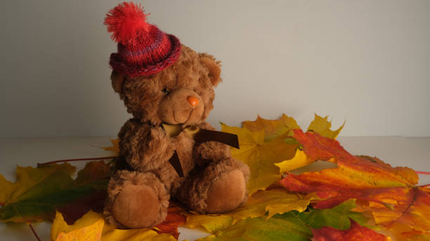 istock Autumn red, yellow maple leaves and teddy bear. 1434344038
