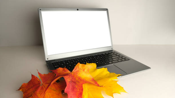 istock Laptop  with autumn maple leaves, blank template. 1434344057