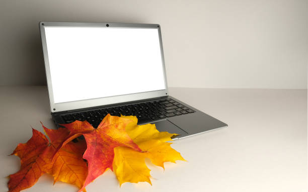 istock Laptop  with autumn maple leaves, blank template. 1434344078