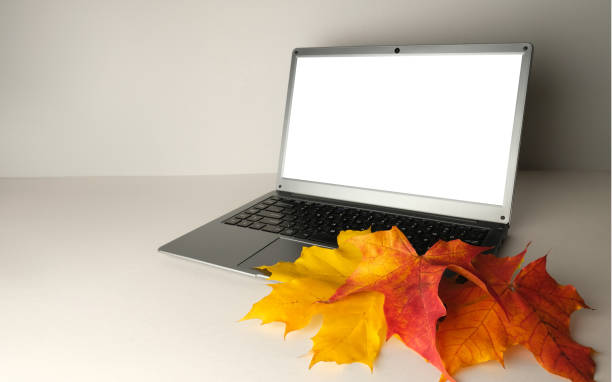 istock Laptop  with autumn maple leaves, blank template. 1434344079