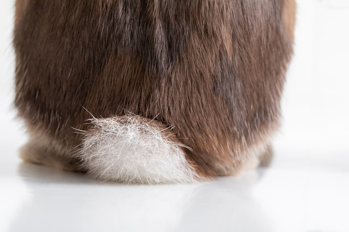 Extreme close up of a skin mole
