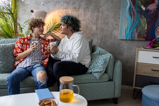 Two homosexual young adult men talking to each other on a living room sofa