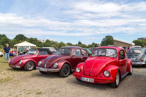 Celle, Germany - August 7, 2016: Several Volkswagen Kaefer at the annual Kaefer Meeting