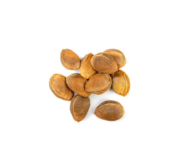istock Apricot Kernels Isolated, Apricot Pits Pile, Fruit Seeds 1434350156