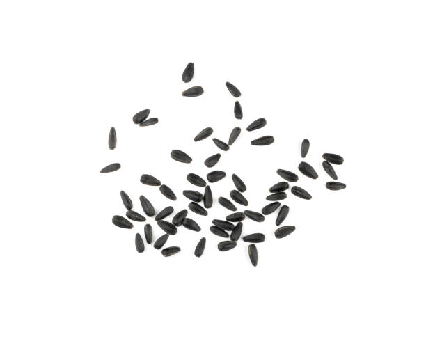 Sunflower Seeds Group, Black Seeds Isolated Top View