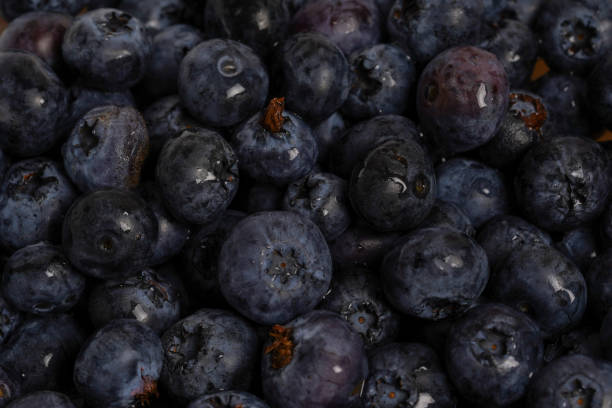 istock Fresh blueberry background. blueberry berries with water drops close up 1434351226