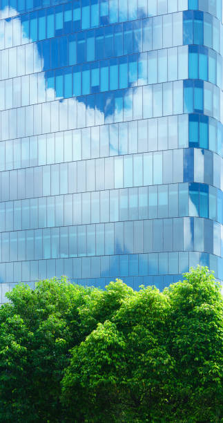 istock Glass wall architecture friendly office building. save energy and fresh green leaves tree reflection cloud and blue sky background.for green ecology smart city. 1434351309