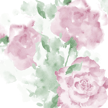 Watercolor roses composition with aquarelle-paper texture. Vector