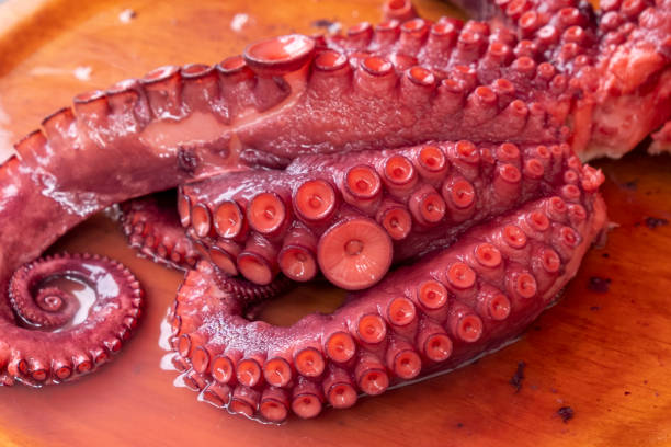 istock octopus tentacles cooked in the Galician style, pulpo a feira. 1434353333