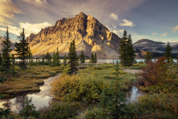 Bow Lake, Canadian Rockies