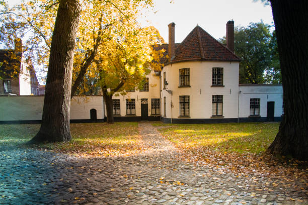 beguinage em bruges - bruges cityscape europe autumn - fotografias e filmes do acervo