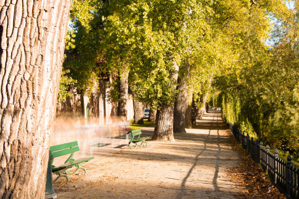 rua em bruges - bruges cityscape europe autumn - fotografias e filmes do acervo