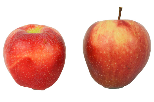 different types of organic apples