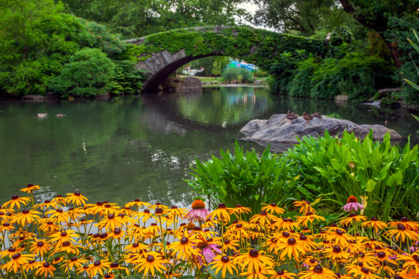 istock Gapstow Bridge in Central Park 1434362551