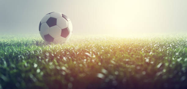 istock Football soccer ball on grass 1434364426