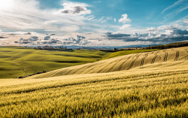 istock Tuscany Landscape - Crete Senesi, Italy 1434364601