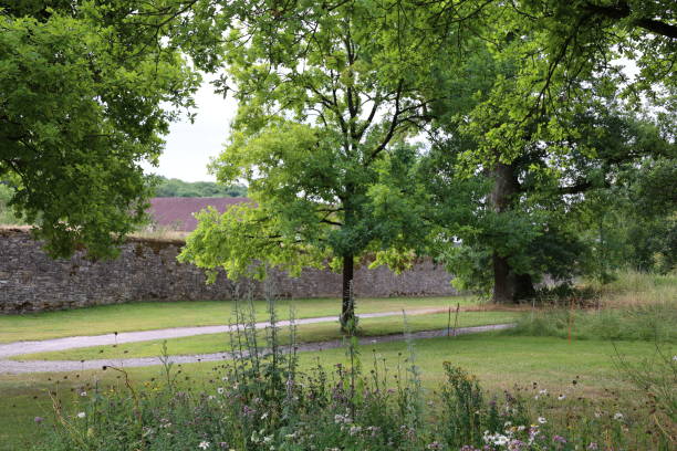 istock Summer in Kloster Dalheim in Paderborner Land 1434368041