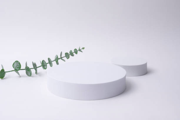 istock White circle mockup with natural white background , Product show concept 1434372539