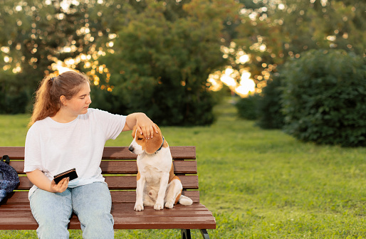 Teenage girl and dog sitting on bench in park. Pet owner stroking dog's head