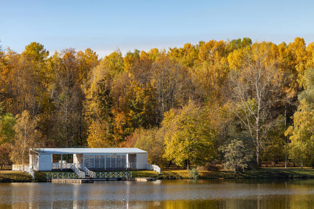 istock empty wooden boat jetty in autumn park 1434382121
