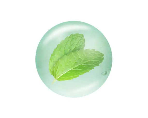 Fresh mint leaves in bubble drop isolated on white background.